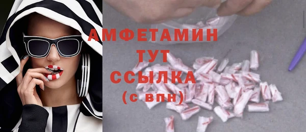 дмт Абаза