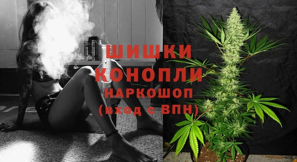 дмт Абаза