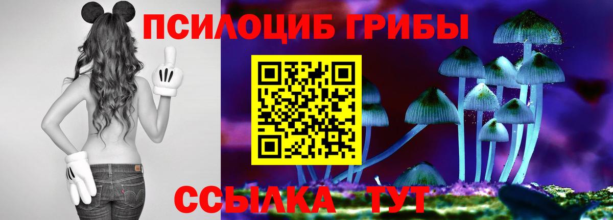Псилоцибиновые грибы MAGIC MUSHROOMS Тихорецк